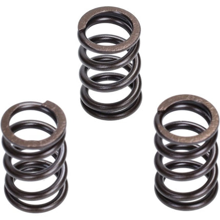 kit ressorts soupapes malossi euro-5 liberty IGET, primavera 4t-3v, zip 4t 3v 2919806