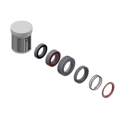 DT Swiss 180 Servicekit Ratchet M/LAGERS 54T EXP naaf Zilver