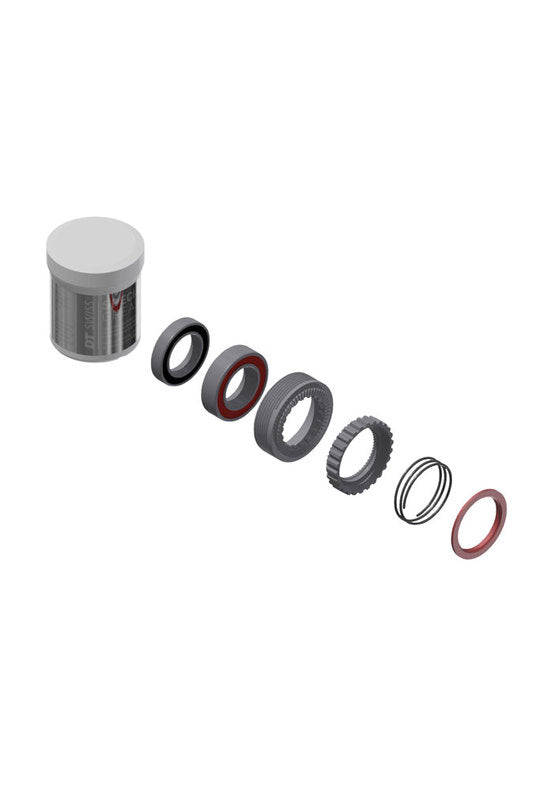 DT Swiss 180 Servicekit Ratchet M/LAGERS 54T EXP naaf Zilver