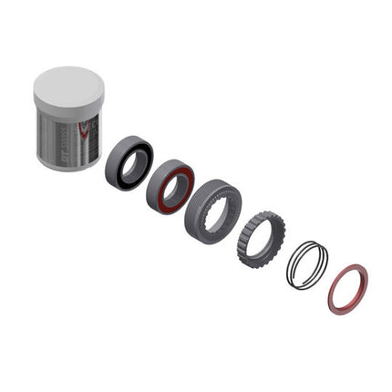 DT Swiss 240 Servicekit Ratchet M/LAGERS 54T EXP naaf Zilver