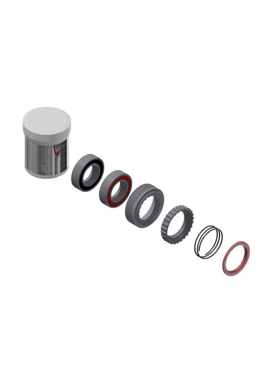 DT Swiss 240 Servicekit Ratchet M/LAGERS 54T EXP naaf Zilver