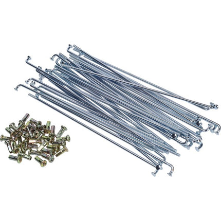 spoke set 185x2.9 36pcs Puch Maxi