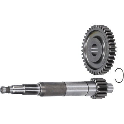 transmission kit Polini primary Euro 5 14/39T Zip 4T 3V 202.1429