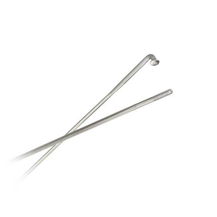 Spaak DT Swiss Revolite 14x276 20 Zilver