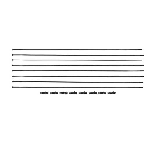 Spaakkit DT Swiss CRC1400 Spline 24 DB 8 Zwart