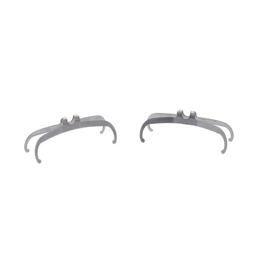 SRAM Maven Xlarge Veerset Remblok set van 2 Zilver