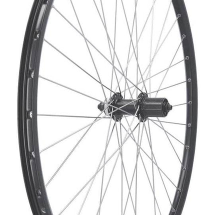 Achterwiel 28" Craft21 QC300 135/5 11 Zwart
