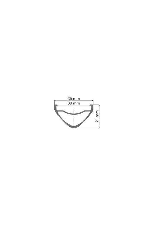Velg 29" DT Swiss FR541 32-14 30.0MM Zilver