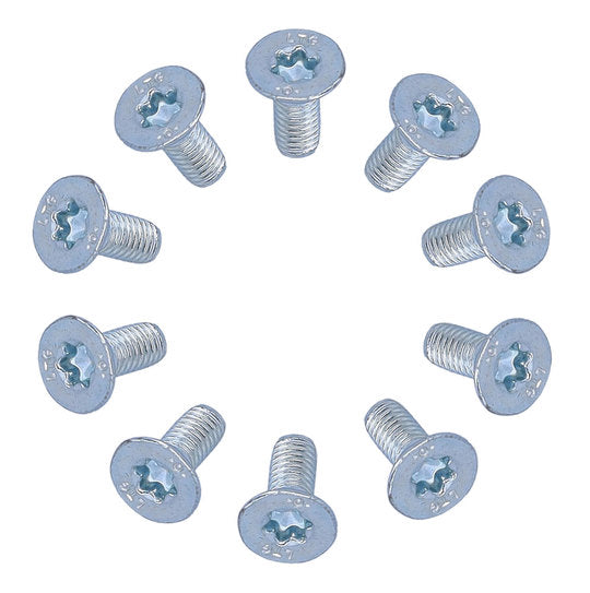 Schroef M4X10 Torx Zelftapper Verz KOP set van 10 Zilver