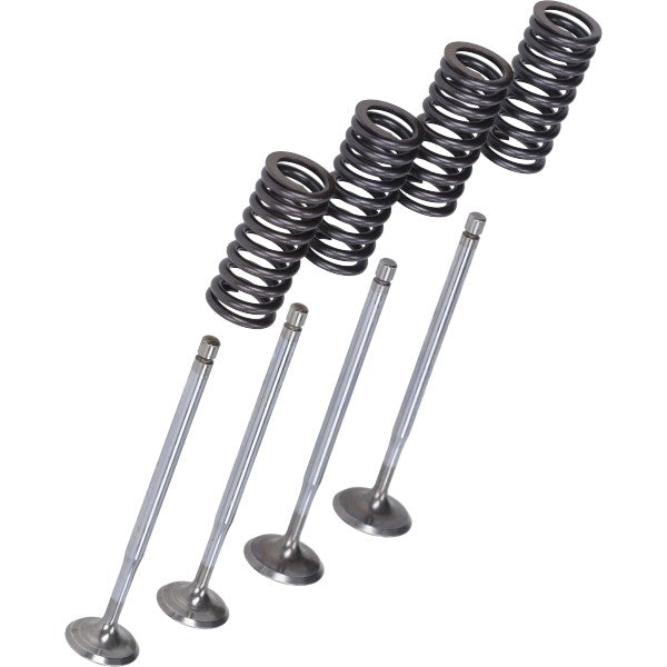 kleppenset malossi + veren 125/300cc beverly, gts, gtv, mp3, runner 2714047