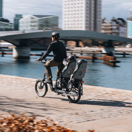 Achterzitje Thule Yepp Nexxt 2 Maxi Grijs