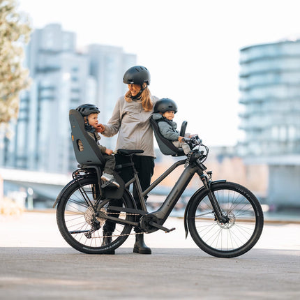 Achterzitje Thule Yepp Nexxt 2 Maxi Frame Grijs