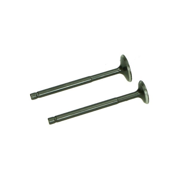 kleppenset set in-/uitlaat 2pcs fiddle, mio, orbit, xpro
