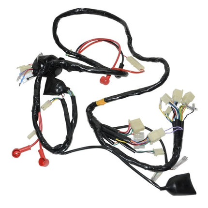 Wiring harness complete BTC Riva, china lx/napoli, vx50