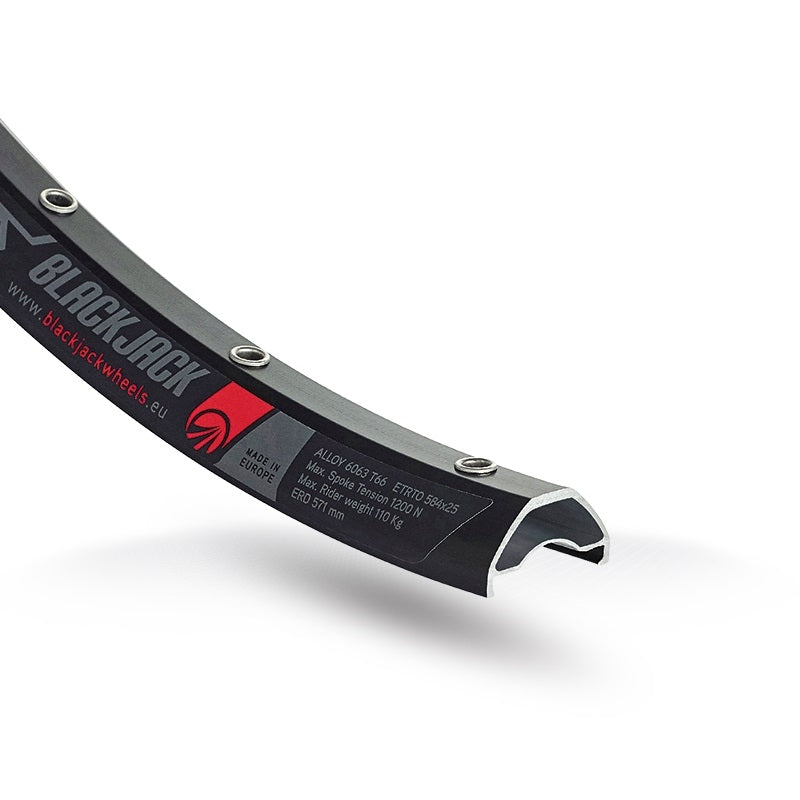 Wielset 29" Rodi Ready 25 Disc - 15x100 + 12x142 mm steekas - 10/11 speed - 32sp