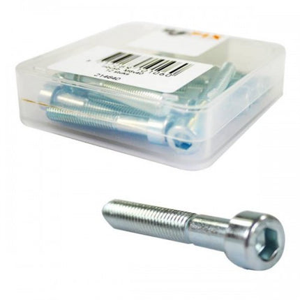 Allen bolt M6 x 40 Bofix stainless steel (12 pieces)