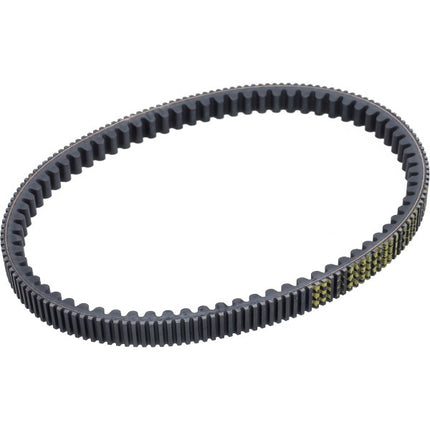 Courroie trapézoïdale Malossi Euro-5/5+ 825x21 MP3-310cc, GTS 310 6120173