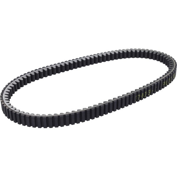 v-belt Polini Euro-3 Beverly 250cc, Beverly 300cc 248.066