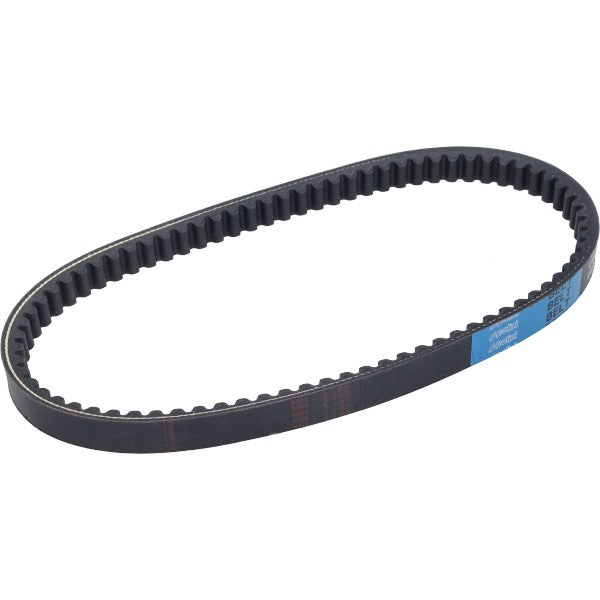 Courroie trapézoïdale Polini Liberty 125cc 4T, Sprint 125 4T, Primavera 125 4T 248.106