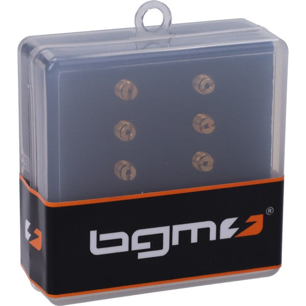 stationairsproeier BGM set mikuni (VM22/210) 15-37,5 Pro 10-delig 2599130