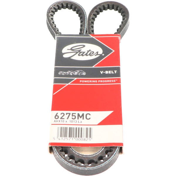 v-belt 1013mm ciao, citta