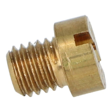 sproeier dellorto klein 5mm 43