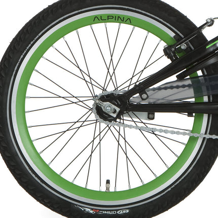Alpina rear wheel 20 brake hub J19DB green black spk