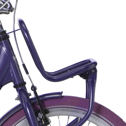 Alpina front carrier 22 Clubb purple grey