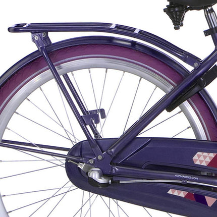 Alpina rear carrier 24 Clubb purple grey