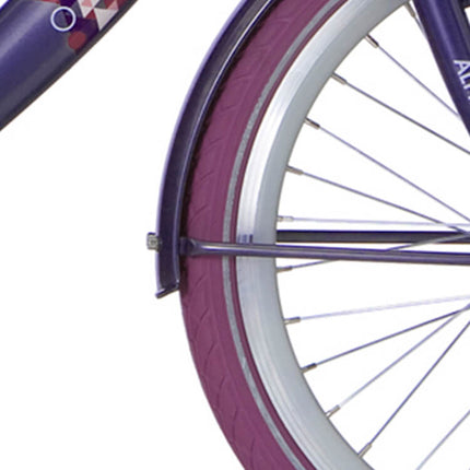 Garde-boue Alpina set 22 Clubb purple grey