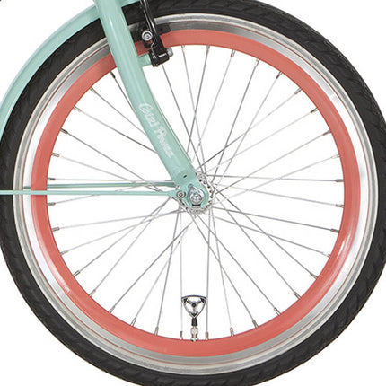 Roue avant Alpina 20 J19DB salomon zinc spk
