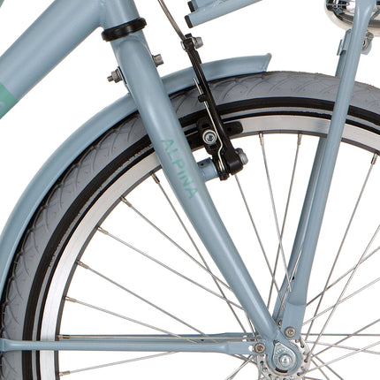 Alpina fork 20 Cargo M dream blue matt