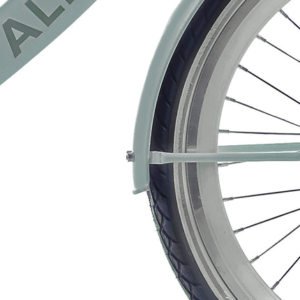 Alpina mudguard set 20 Clubb soft mint matt