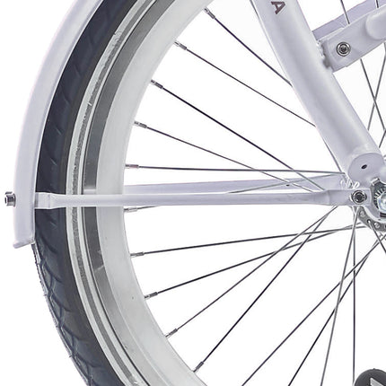 Alpina tige de garde-boue set 20 Clubb rose givré mat