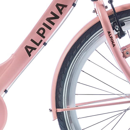 Kit de garde-boue Alpina 26 Clubb rose désert mat