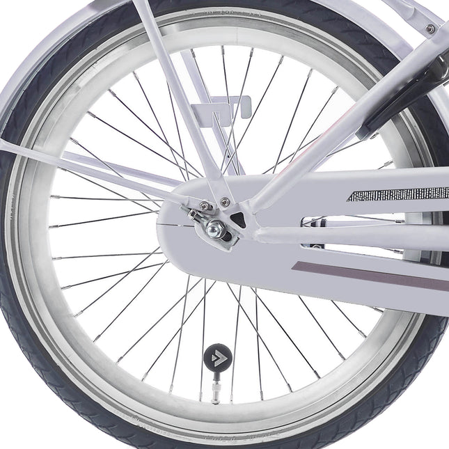 Alpina achterwiel 20 HLQC Ocean/Clubb zilver zink spk