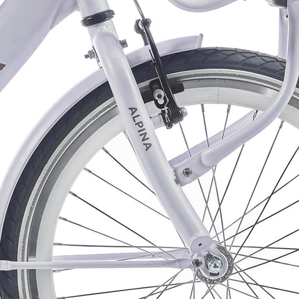 Fourche avant Alpina 20 Clubb rose givré mat