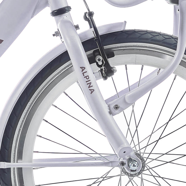 Alpina voorvork 20 Clubb frosty pink matt