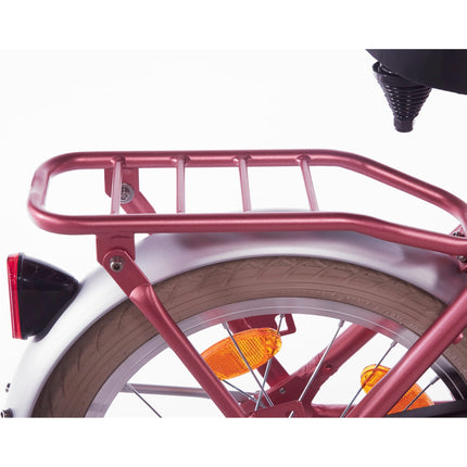 Alpina achterdrager 16 Cargo berry red matt