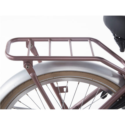 Alpina rear carrier 20 Cargo wood rose matt