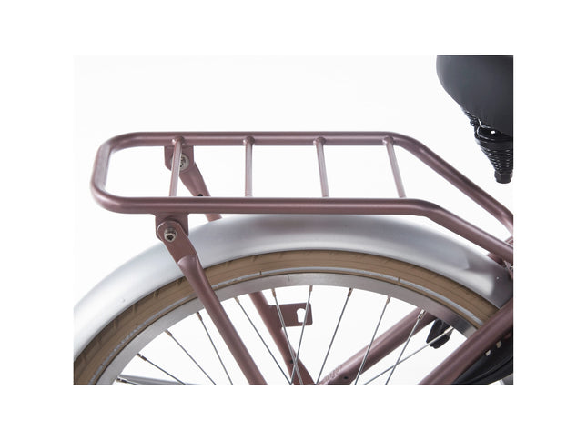 Alpina achterdrager 20 Cargo wood rose matt