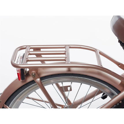 Porte-bagages Alpina 20 Clubb or rose mat