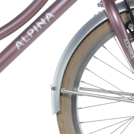 Garde-boue Alpina avec tringle 20 Cargo argent mat