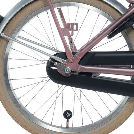 Roue arrière Alpina 20 HLQ-10A-1 argent rayons de zinc