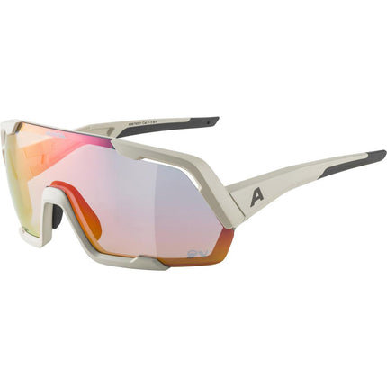 Lunettes de sport Alpina Sports Rocket QV gris mat