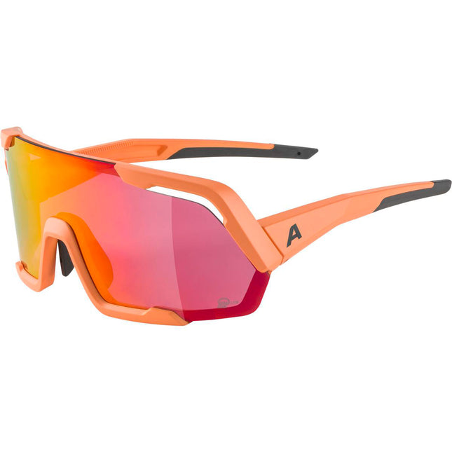 Alpina Sports sportbril Rocket Q-Lite mat roze