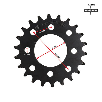 Afbeelding_100099