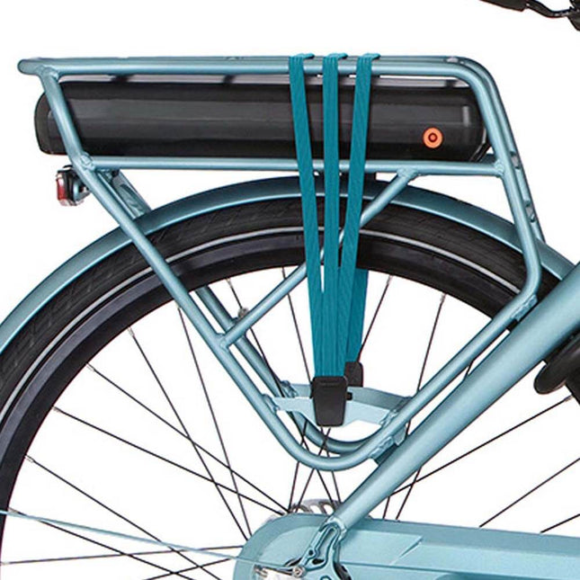 Cortina rear carrier E-Octa Rivolo-d'Acqua matt
