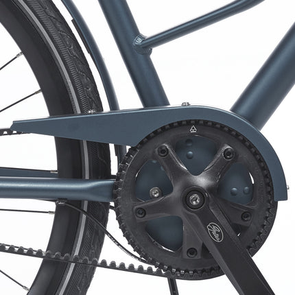 Cortina chain guard Mozzo irish blue matt