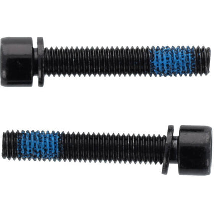 Elvedes flatmount bouten m5 × 28mm 1 paar